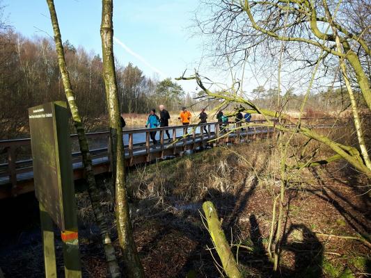 Beleving bij de boslopen op zondagmorgen gedurende Swift Running